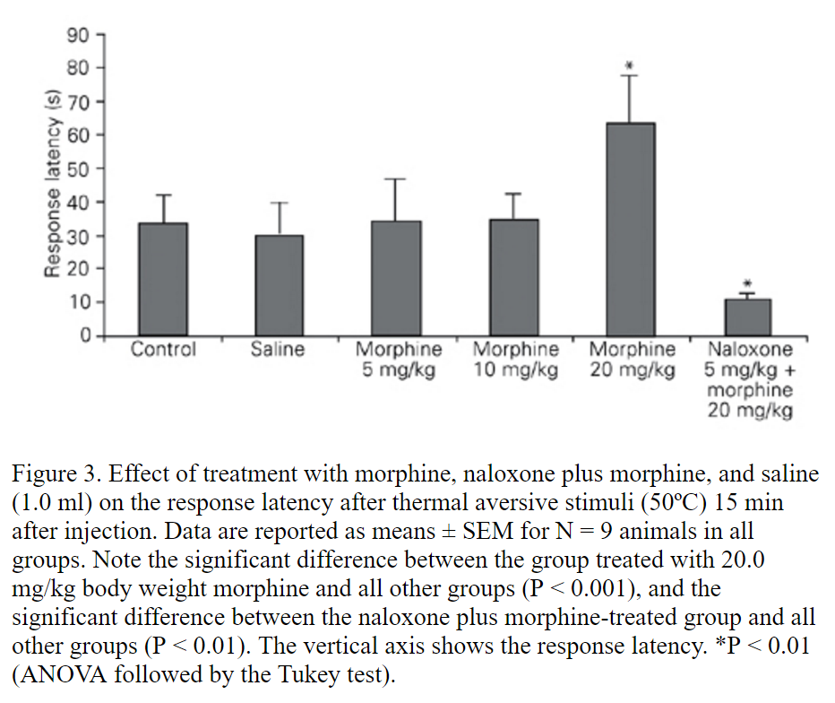 This is a screenshot from the paper.